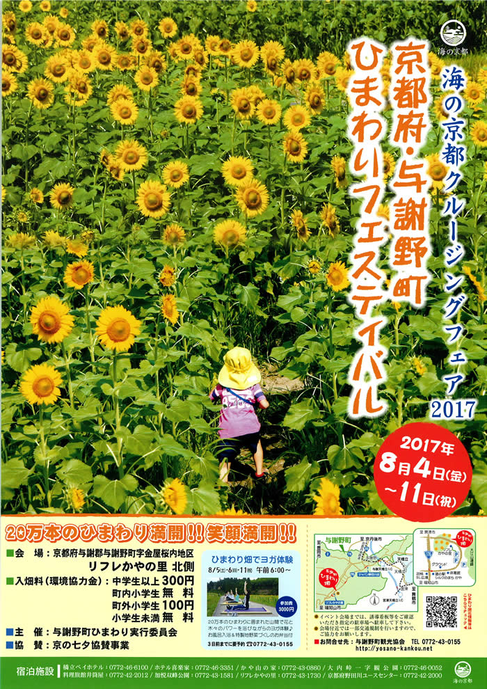 天橋立 観光 ニュース 2017年与謝野町ひまわりフェスティバル