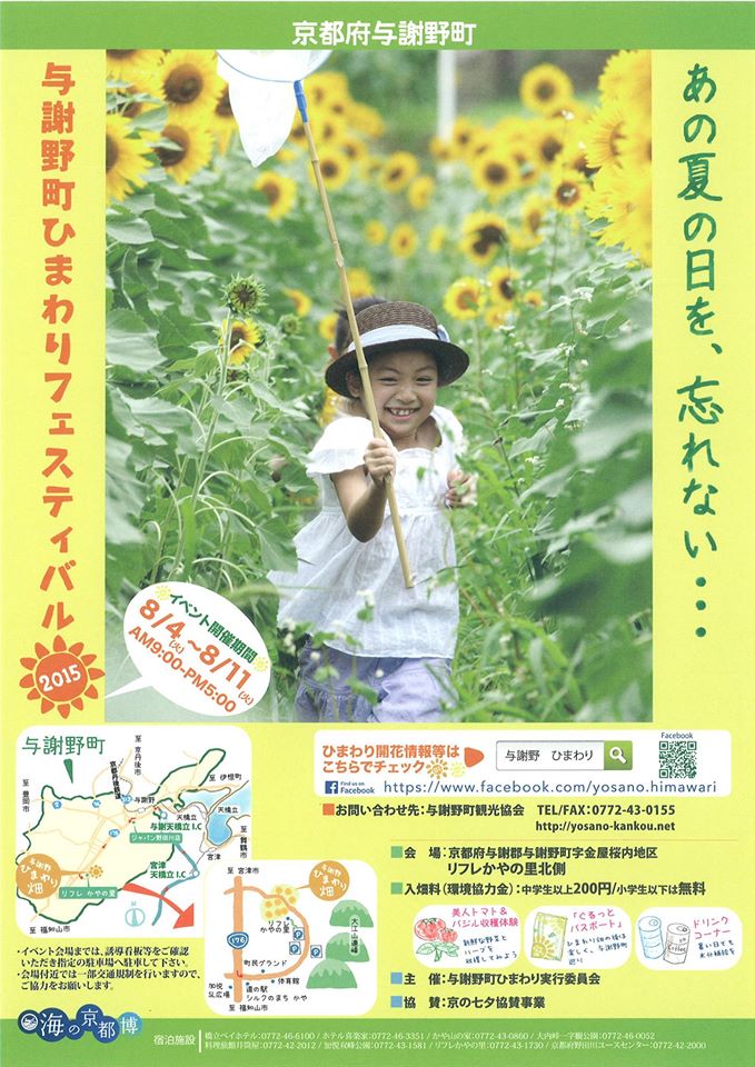 天橋立 観光 ニュース 与謝野町ひまわりフェスティバルの開催!!