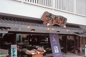 天橋立 観光 ちりめん問屋