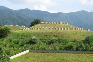 天橋立 観光 与謝野町立古墳公園