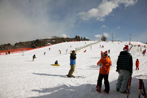 天橋立 観光 大江山スキー場