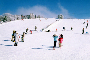天橋立 観光 大江山スキー場