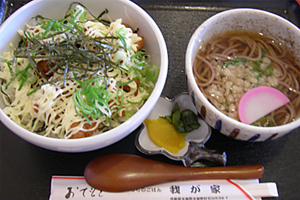 天橋立 観光 我が家