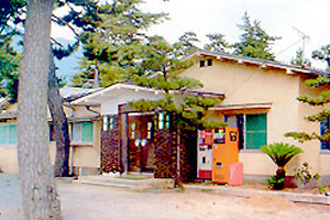 天橋立 観光 芳月