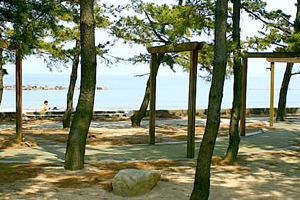 天橋立 観光 由良浜温泉