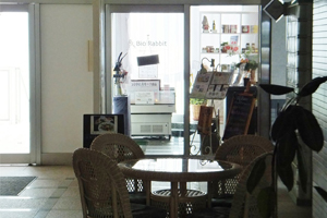 天橋立 観光 ビオ・ラビット