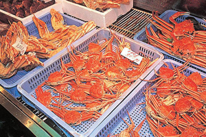 天橋立 観光 宮津市公設市場