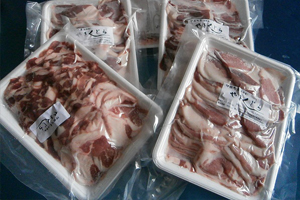 天橋立 観光 やまくじら