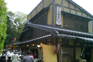 天橋立 観光 つるや食堂