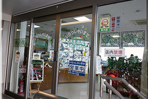 天橋立 観光 天橋立パノラマハウス