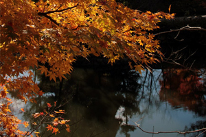 天橋立 観光 底なしの池 (成相山 成相寺)