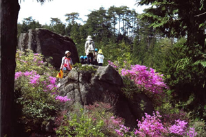 天橋立 観光 雲岩公園