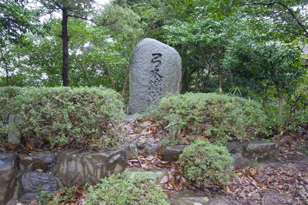 天橋立 観光 弓木城