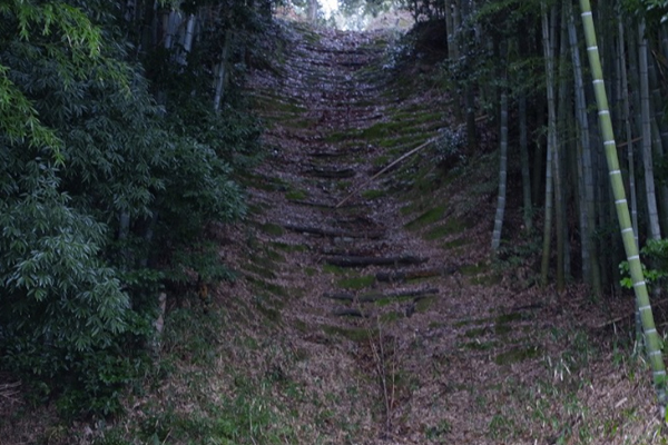 天橋立 観光 弓木城