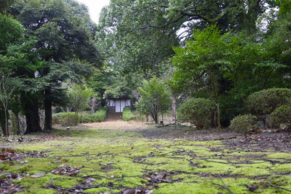 天橋立 観光 弓木城