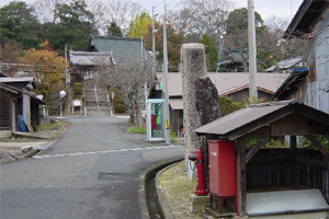 天橋立 観光 蓮華水