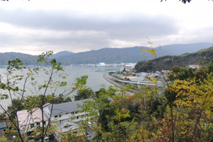 天橋立 観光 大黒山公園