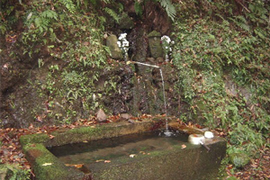 天橋立 観光 菅野の清水