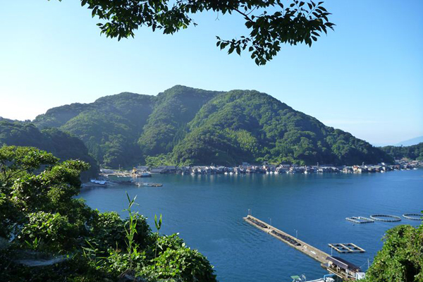 天橋立 観光 のろせ海岸