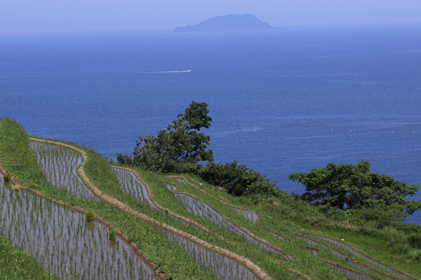 天橋立 観光 新井の千枚田