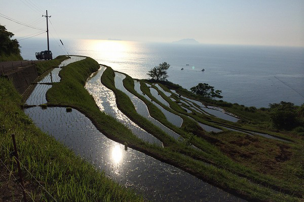 天橋立 観光 新井の千枚田