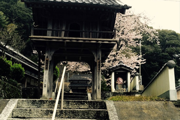 天橋立 観光 海蔵寺