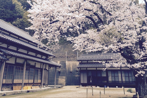 天橋立 観光 海蔵寺