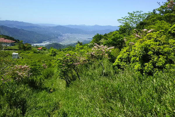 天橋立 観光 赤石ヶ岳